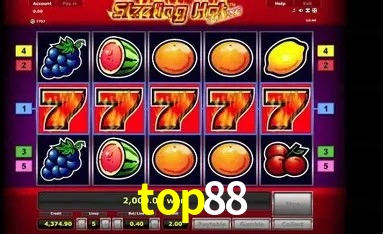 Sistemas de Segurança top88